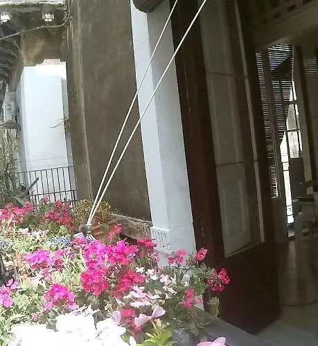 Casagigia * Katánie